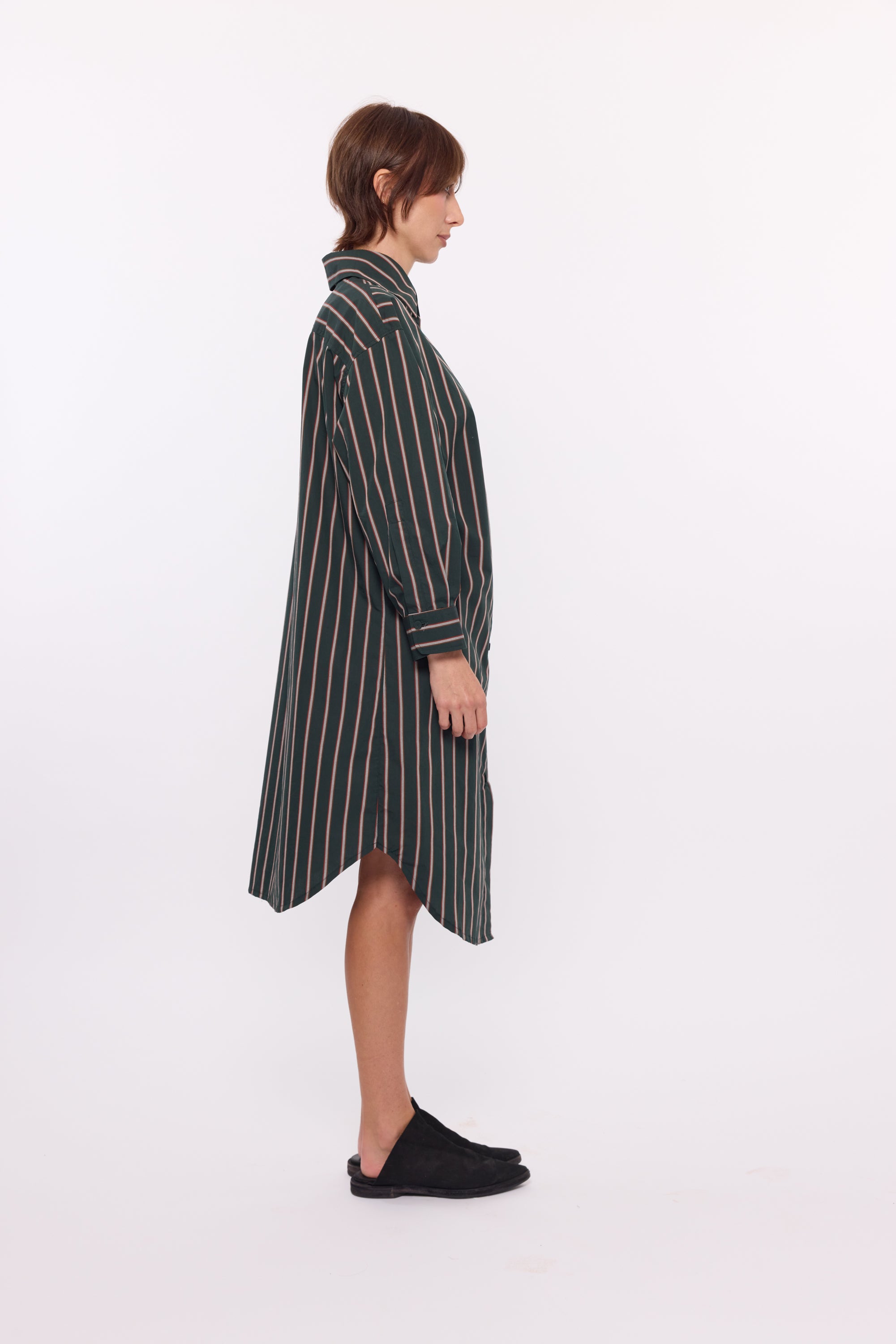 Hadley Shirt dress -Forrest stripe